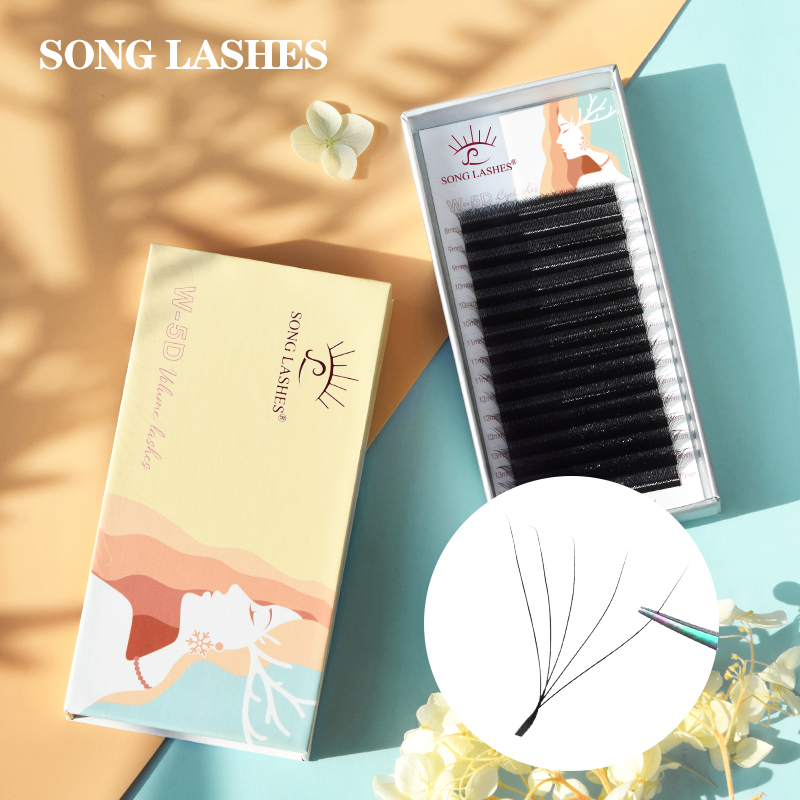 Eyelash Extension Logo - เพลง LASHES ถาดแม่เหล็ก 5D W Eyelash