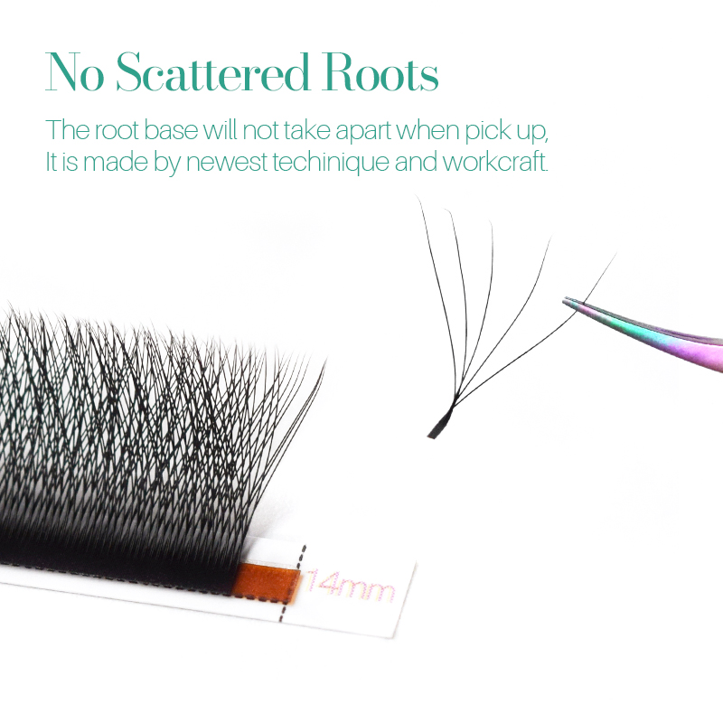 เพลง LASHES ถาดแม่เหล็ก 5D W E - Eyelash Extension Logo บทวิจารณ์และราคา