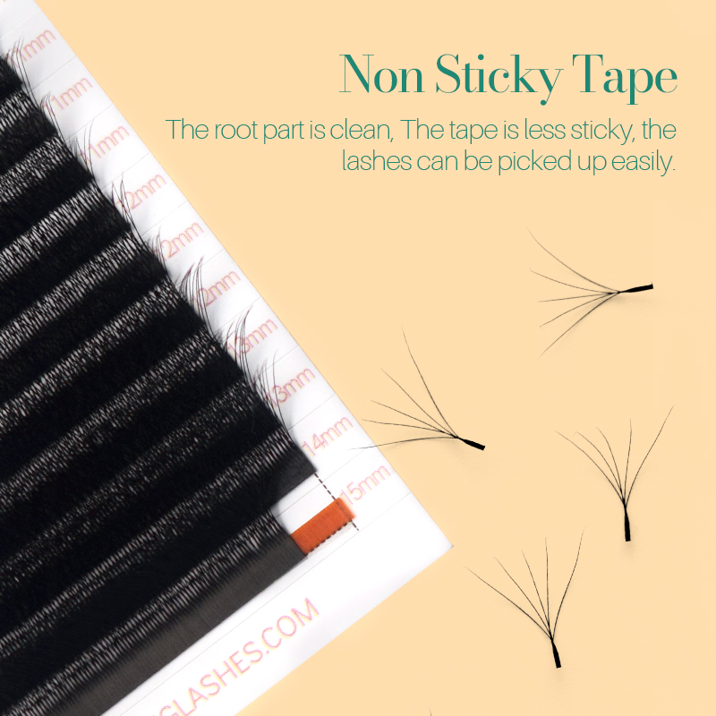 เพลง LASHES ถาดแม่เหล็ก 5D W E - Eyelash Extension Logo บทวิจารณ์และราคา